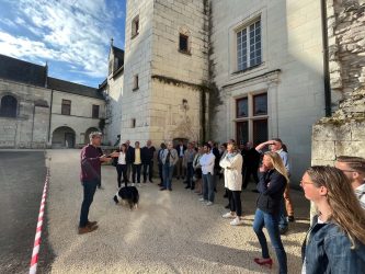 chateau-monts-sur-guesnes-entreprises-loudun (1)