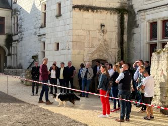 chateau-monts-sur-guesnes-entreprises-loudun (3)