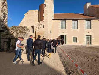 chateau-monts-sur-guesnes-entreprises-loudun (9)